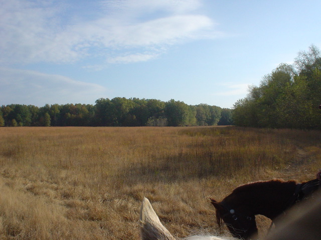 DSC00517.JPG
