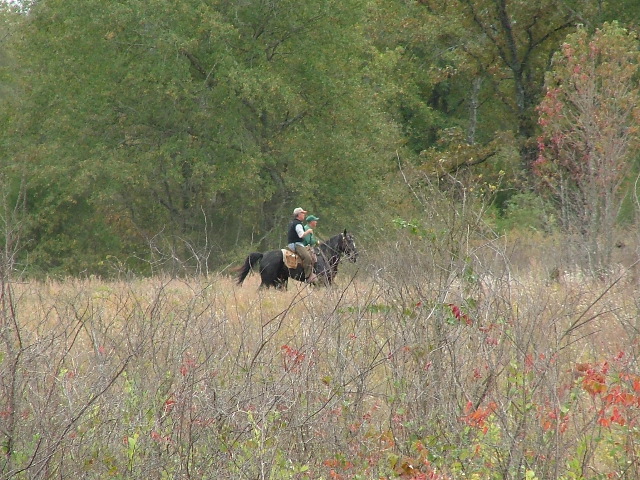 DSCF0166.JPG