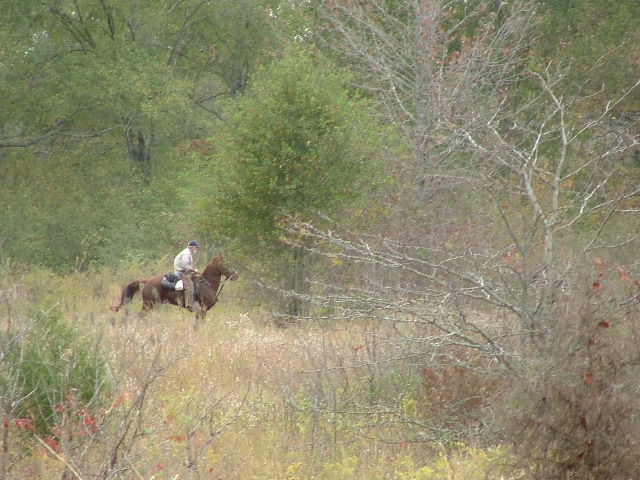 DSCF0169.JPG