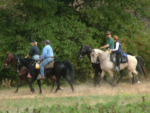 DSCF0188.JPG