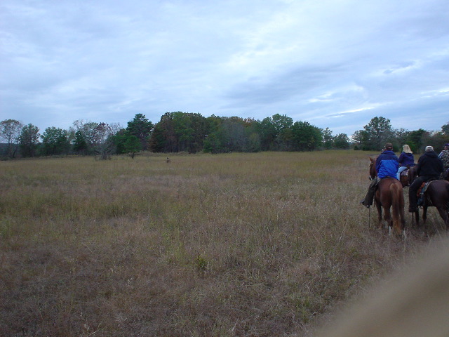 DSC00342.JPG