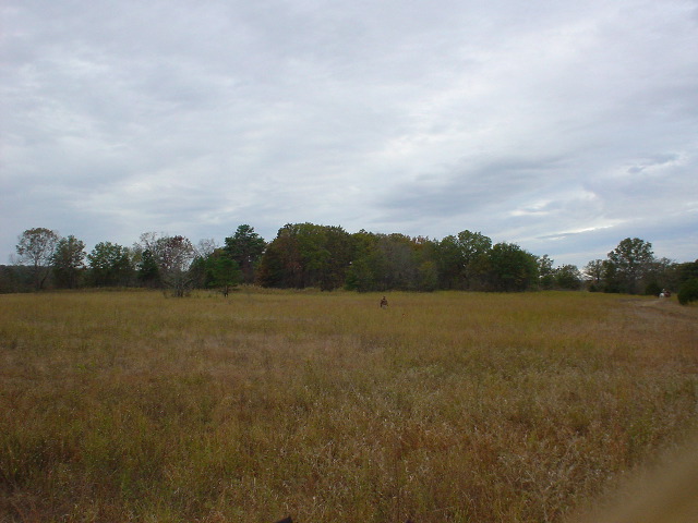 DSC00343.JPG