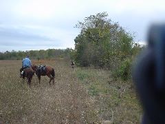 DSC00359.JPG