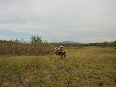 DSC00363.JPG