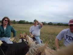 DSC00366.JPG