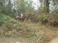 DSC00373.JPG
