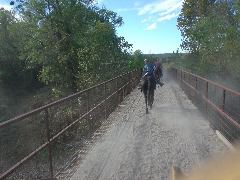 DSC00378.JPG