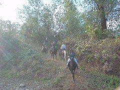 DSC00383.JPG