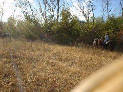DSC00389.JPG