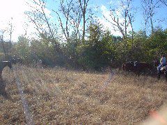 DSC00390.JPG