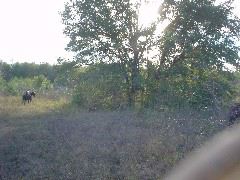 DSC00392.JPG