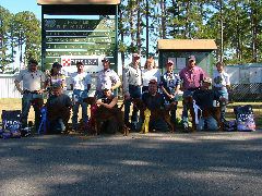 DSCF0249.JPG