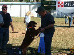 DSCF0263.JPG