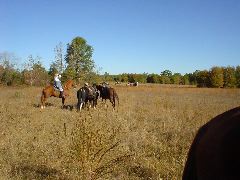 DSC00400.JPG