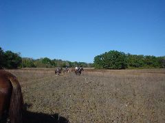 DSC00403.JPG