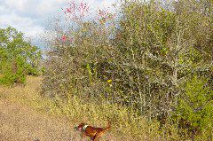 DSC00584.JPG