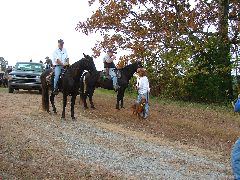 DSCF0366.JPG