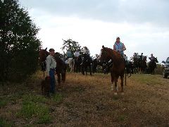 DSCF0368.JPG