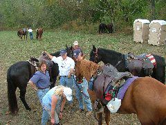 DSCF0378.JPG