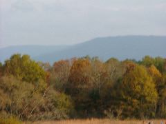 DSCF0413.JPG