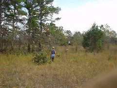 DSC00451.JPG