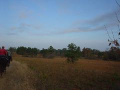 DSC00460.JPG