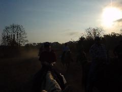DSC00469.JPG