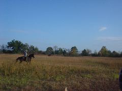 DSC00476.JPG