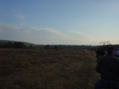 DSC00488.JPG