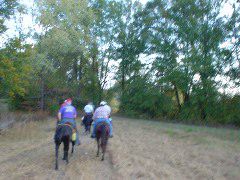 DSC00491.JPG