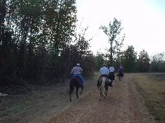DSC00495.JPG