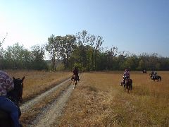 DSC00509.JPG