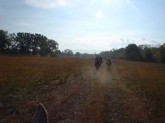 DSC00511.JPG