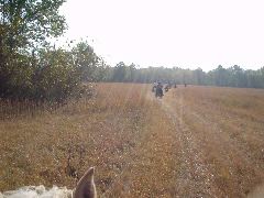 DSC00513.JPG
