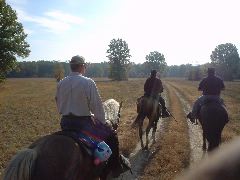 DSC00523.JPG