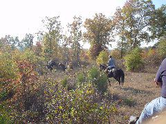 DSC00528.JPG