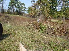 DSC00529.JPG