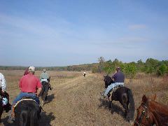 DSC00530.JPG