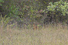 DSC00576.JPG