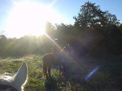 DSC00299.JPG