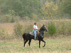 DSCF0191.JPG
