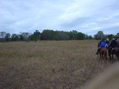 DSC00342.JPG