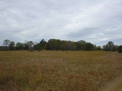 DSC00343.JPG