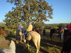DSC00301.JPG