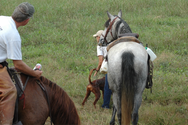 booneville04 025