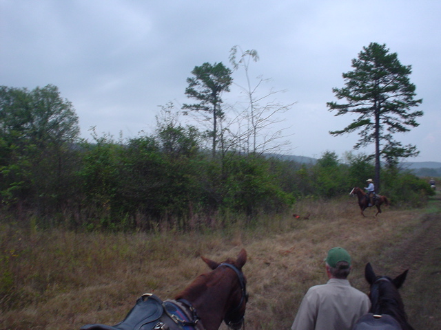 Gracie