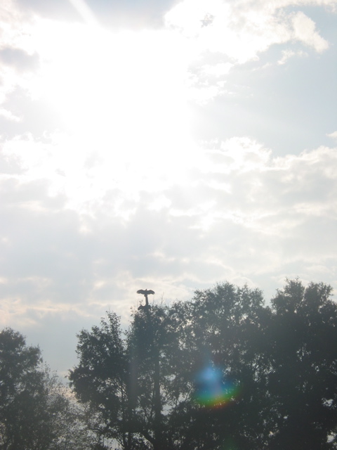IMG_3833.JPG