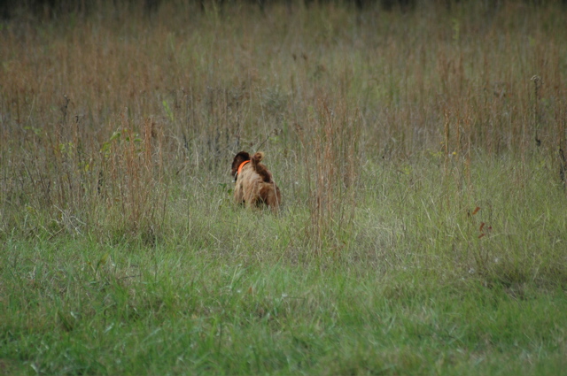 booneville04 078