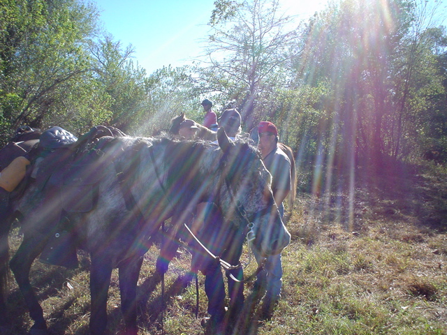 DSC01636.JPG