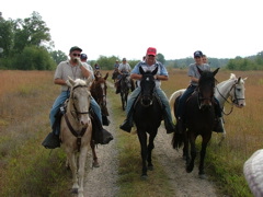 DSCF2663
